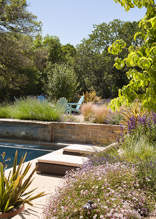 pool landscaping with fire pit seating area