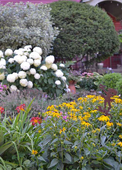 daylilies, phlox, lavender, and black eyed susans