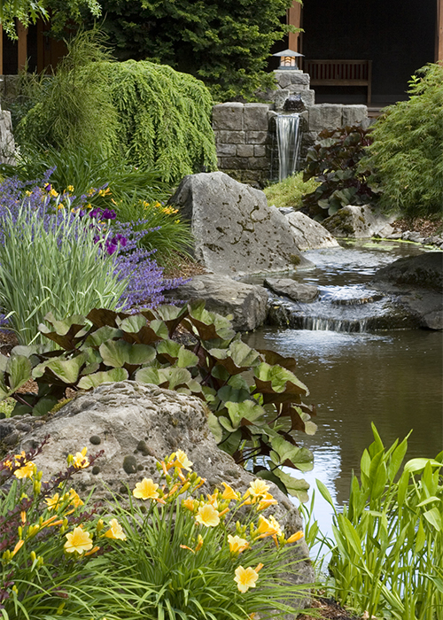 500x700_daylily_waterside_landscape