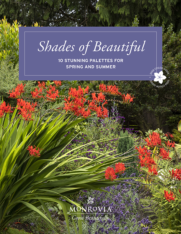 shades of beautiful 2022 guide cover