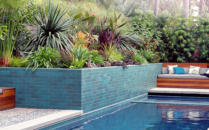 blue pool with blue tiled retaining wall with tropical landscaping