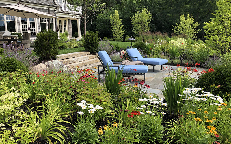 landscape with wildflowers surrounding lounge chairs