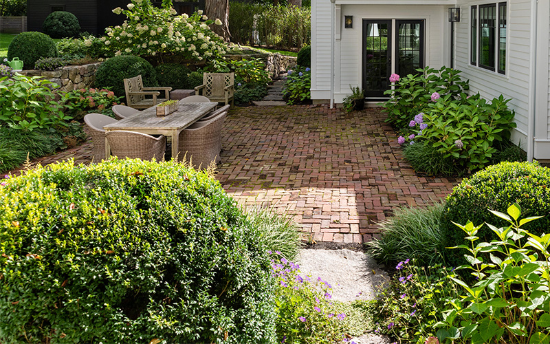 boxwoods and hydrangeas in landscape around backyard dining area