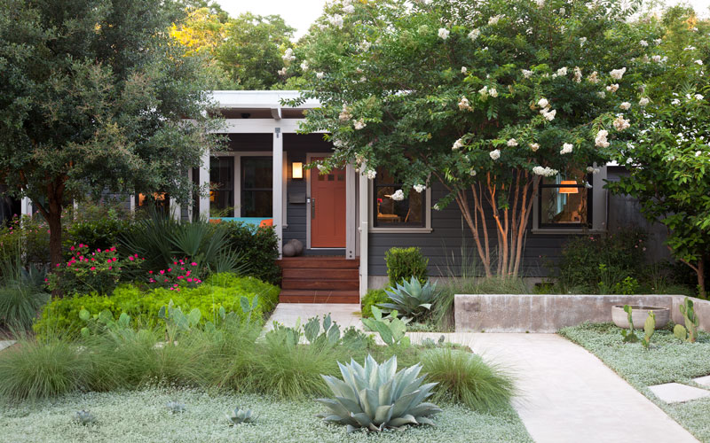 blue house with succulents, grasses and trees