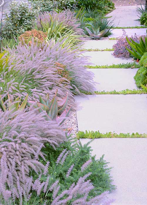 pathway with purple and orange flowers