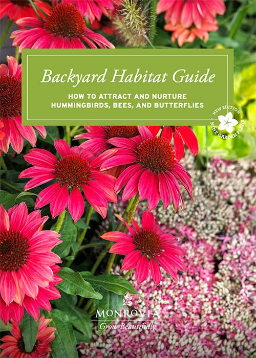 2024 backyard habitat guide cover
