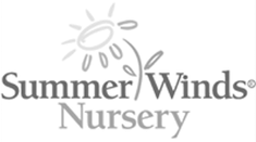 summerwinds