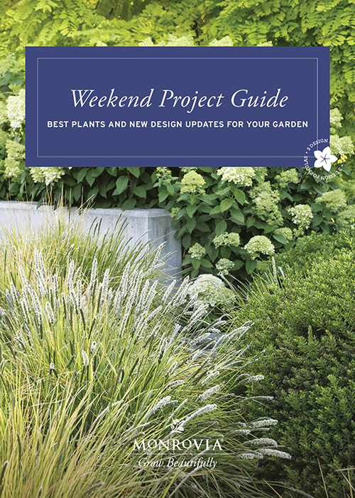 Weekend project guide cover