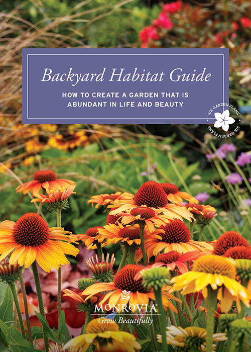 backyard habitat guide cover