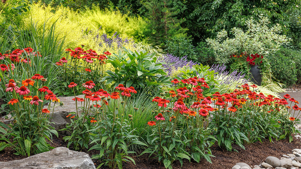 Start Now: Quick and Easy Pollinator Garden Design Ideas