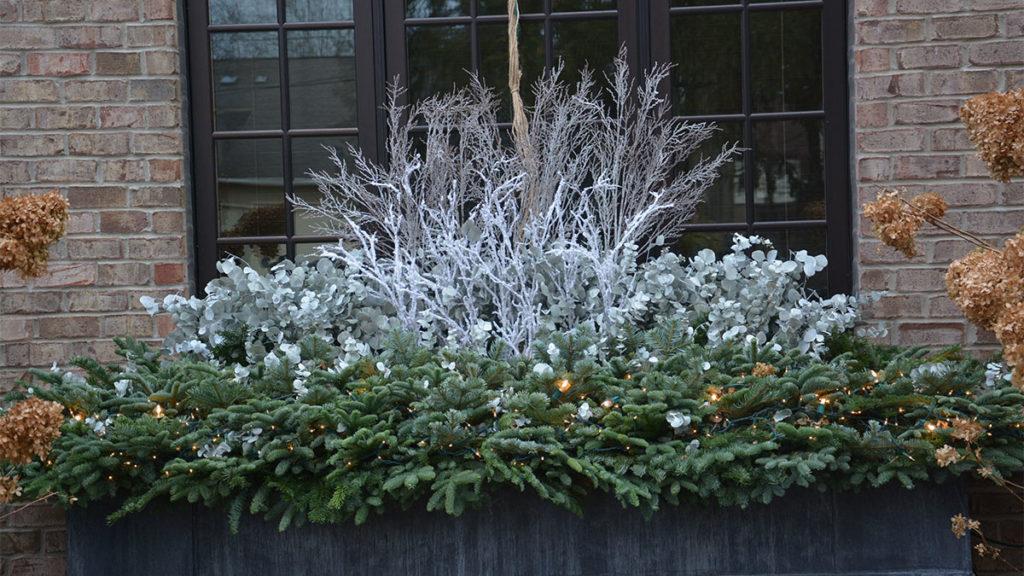 Winter Windowboxes: Find Your Style with these Designs