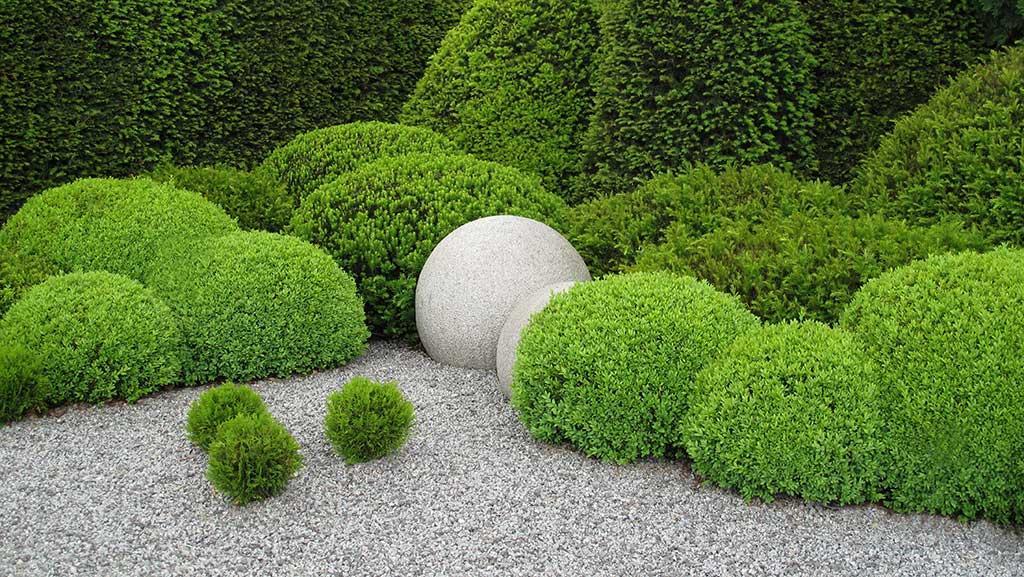 10 Things Every Topiary Lover Should Know