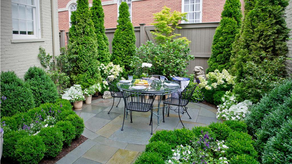 Small Space, Big Solutions: Planting for Privacy