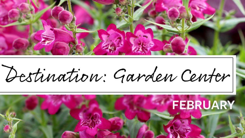 Destination Garden Center: February Storytime!