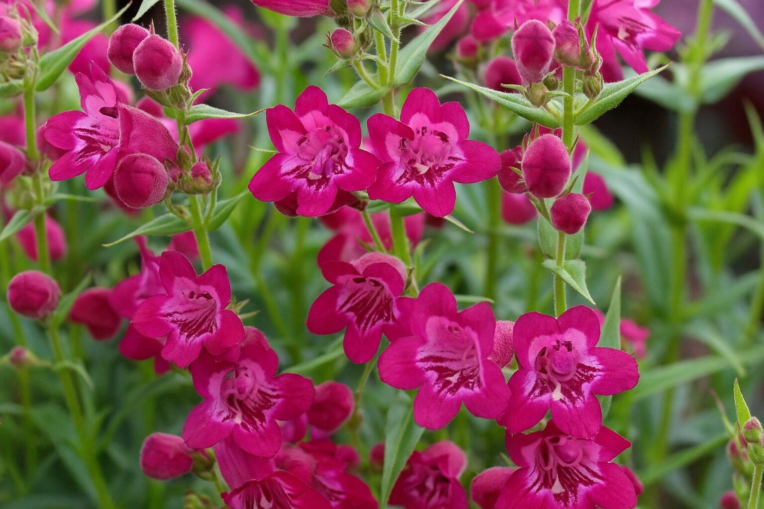 Destination Garden Center: February Storytime!