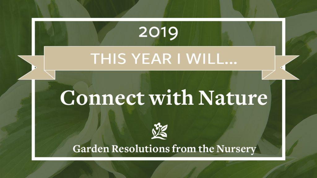 New Years' Resolutions from the Nursery: Connect with Nature