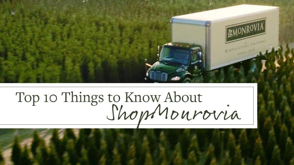 Ten Things To Know About ShopMonrovia.com