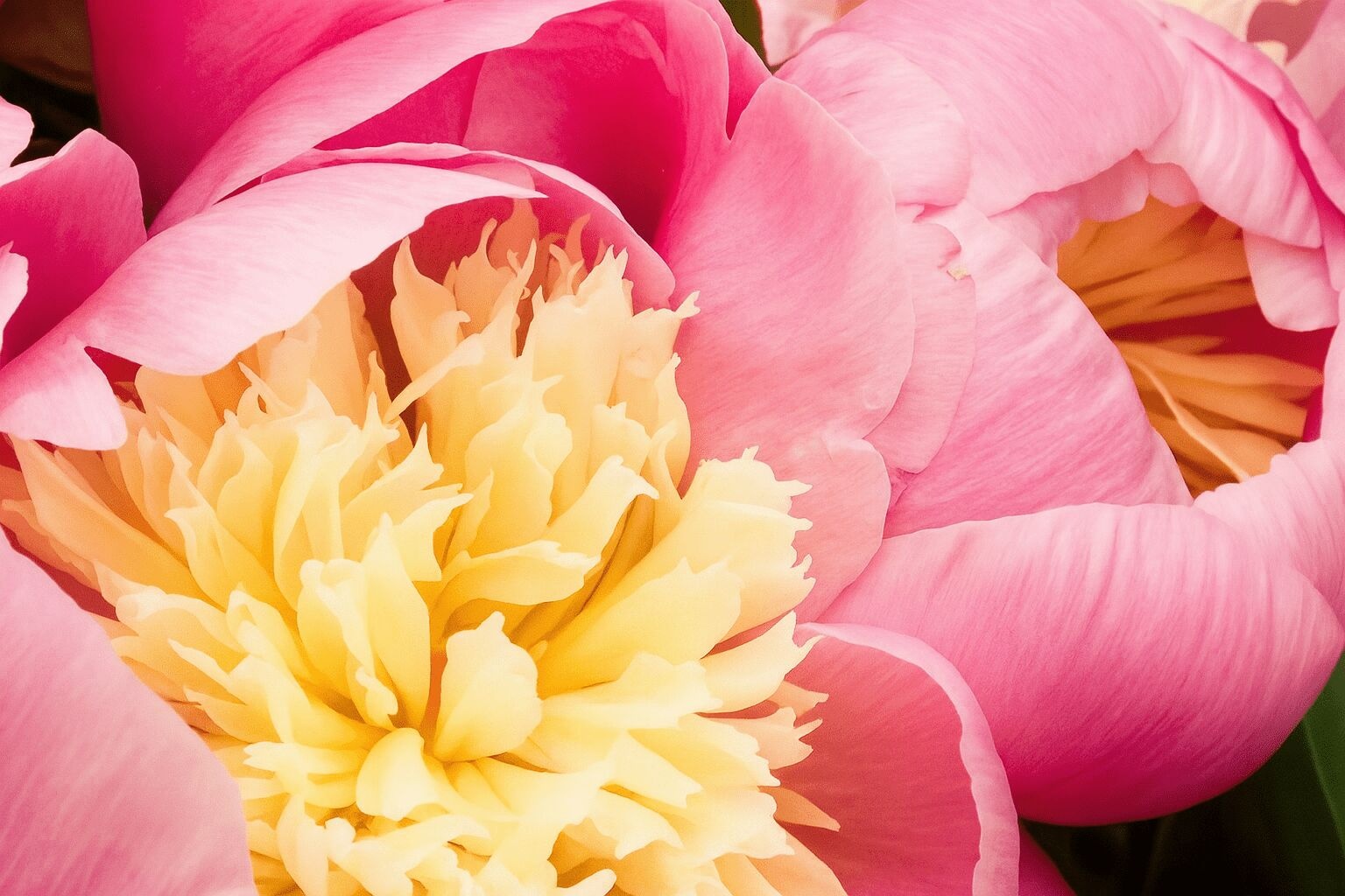Now's the Time: May, How to Make the Most of Planting this Month