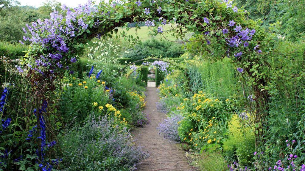 Untamed Beauty–July in the Garden Featuring a Rhythmic Landscape Design