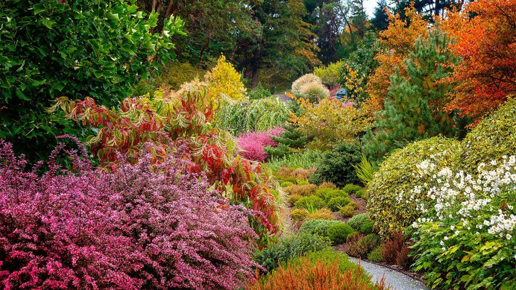 Fall Brings a Blizzard of Colors to this Washington Garden