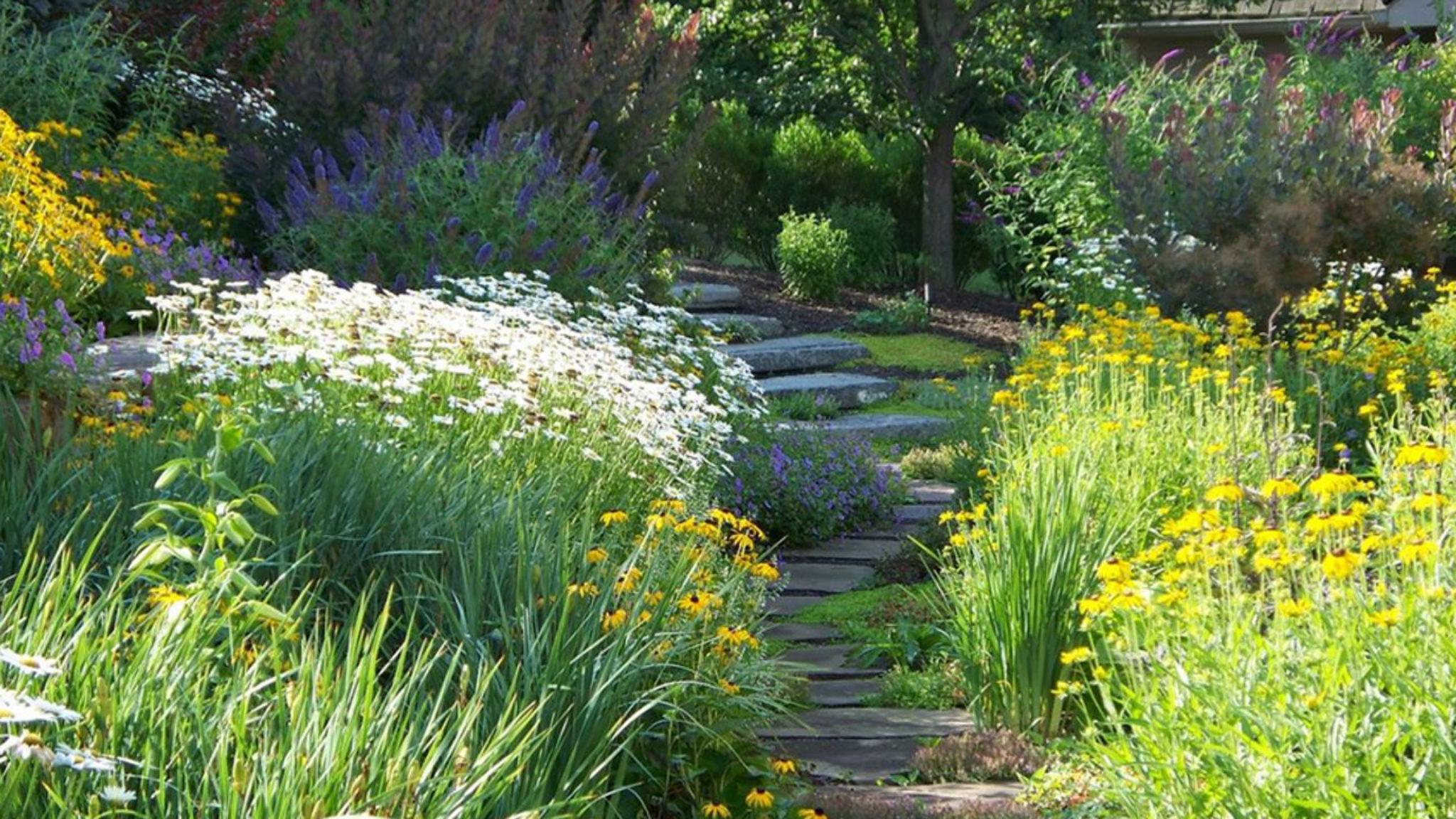 Bordering on Wild: Recreate these Garden Looks