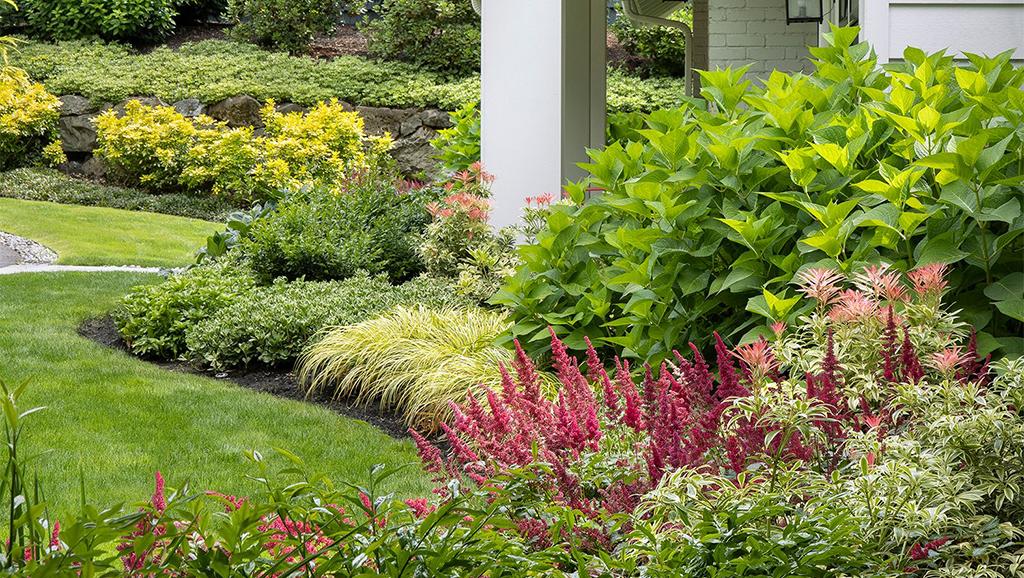 Using Layers to Wow in a Low-Water Shade Garden