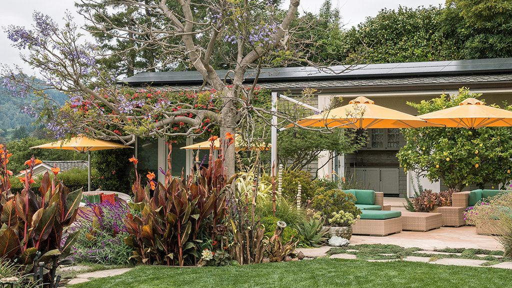 tropical landscape with orange umbrellas and seating area