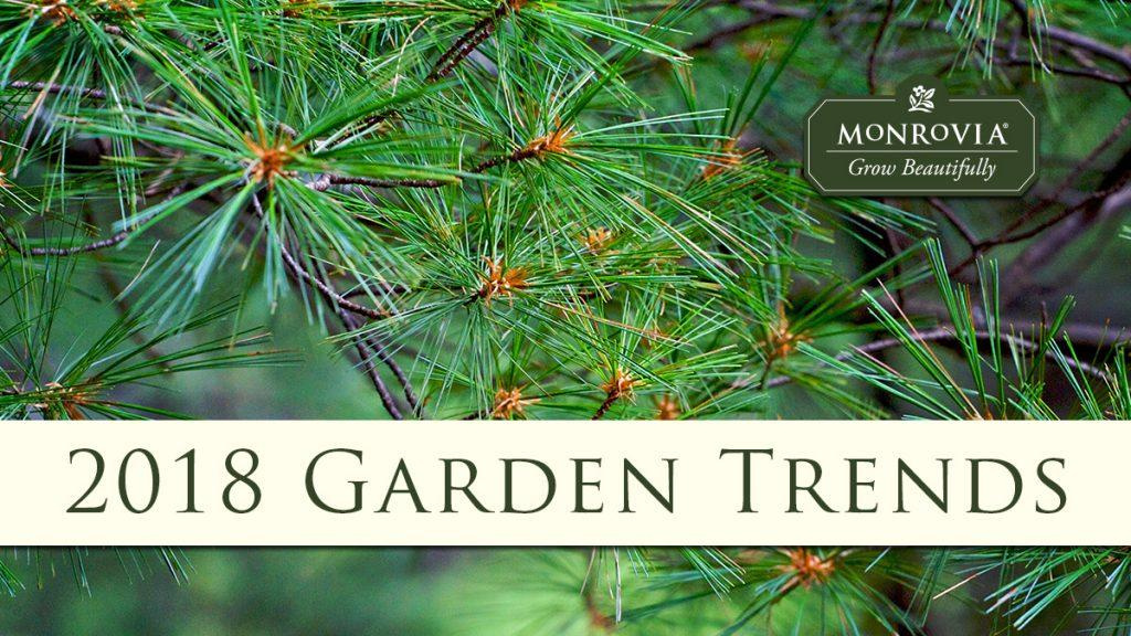 Close-up of a pine tree with text that reads, "2018 Garden Trends."