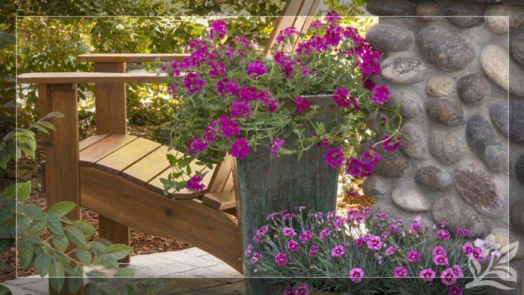 Potted purple flower plant next to a wooden chair and stone wall.