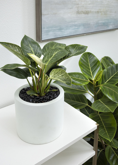 low maintenance indoor plants on and around a white table with painting in background