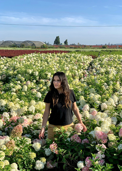 Emily Rosedale-Kousoulis in field of hydrangeas at Monrovia nursery