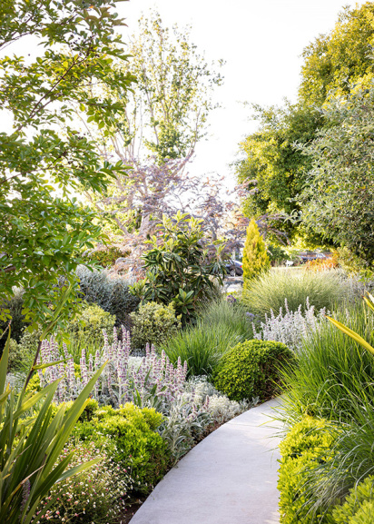 low maintenance front yard landscape with curved pathway