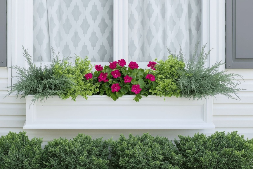 White window box with evergreens and colorful annuals with text that reads, "A Little Color Goes a Long Way."