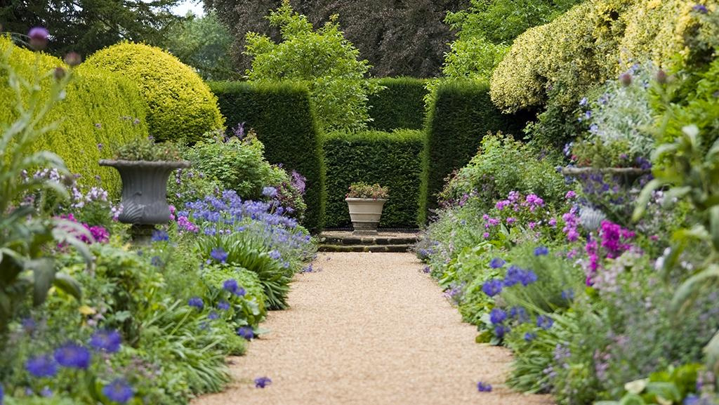 Garden pathway with green shrubs and pink and purple flowers on both sides leading to a green hedge and potted plant.