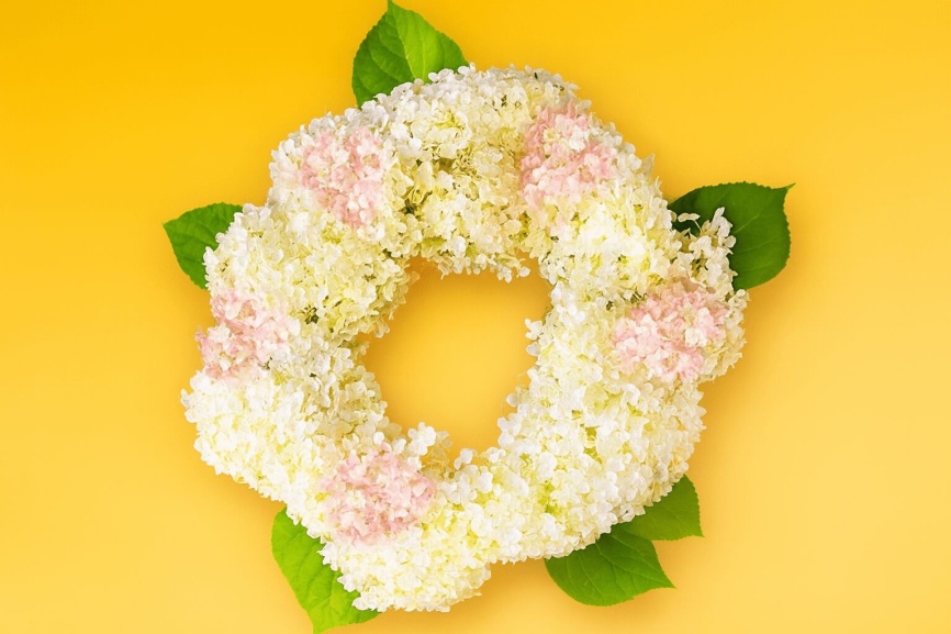 Different colored hydrangea wreath against a bright yellow background with text that reads, "How to make a Hydrangea Wreath."
