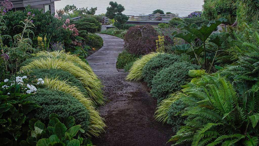 Landscape filled with variety of green shrubs and flowers on either side of a path. Plants included are listed on this post.