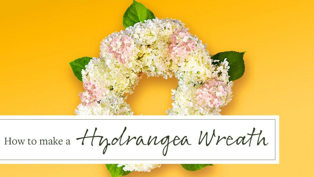 Different colored hydrangea wreath against a bright yellow background with text that reads, "How to make a Hydrangea Wreath."