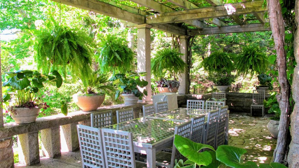 Porch patio surrounded by potted plants and hanging baskets with ferns.