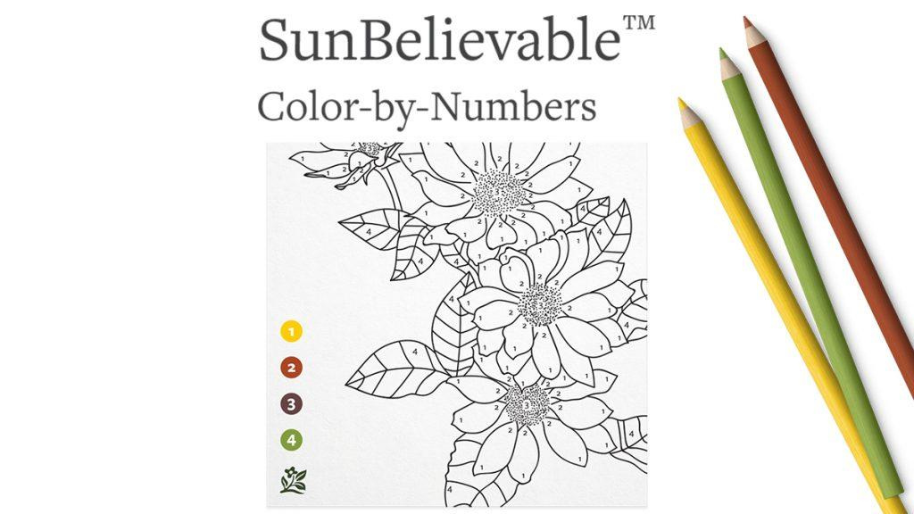 "SunBelievable Helianthus Flower Color-by-Numbers" and four different color palettes of yellow, red, purple, and green.