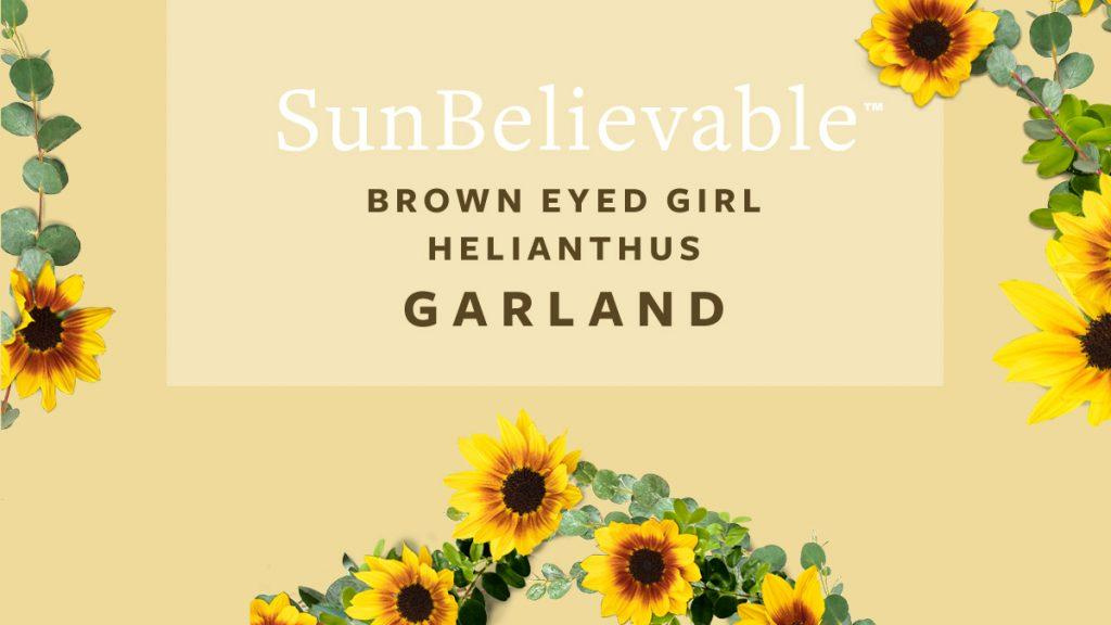 Painted sunflowers with text that reads, "SunBelievable Brown Eyed Girl Helianthus Garland."