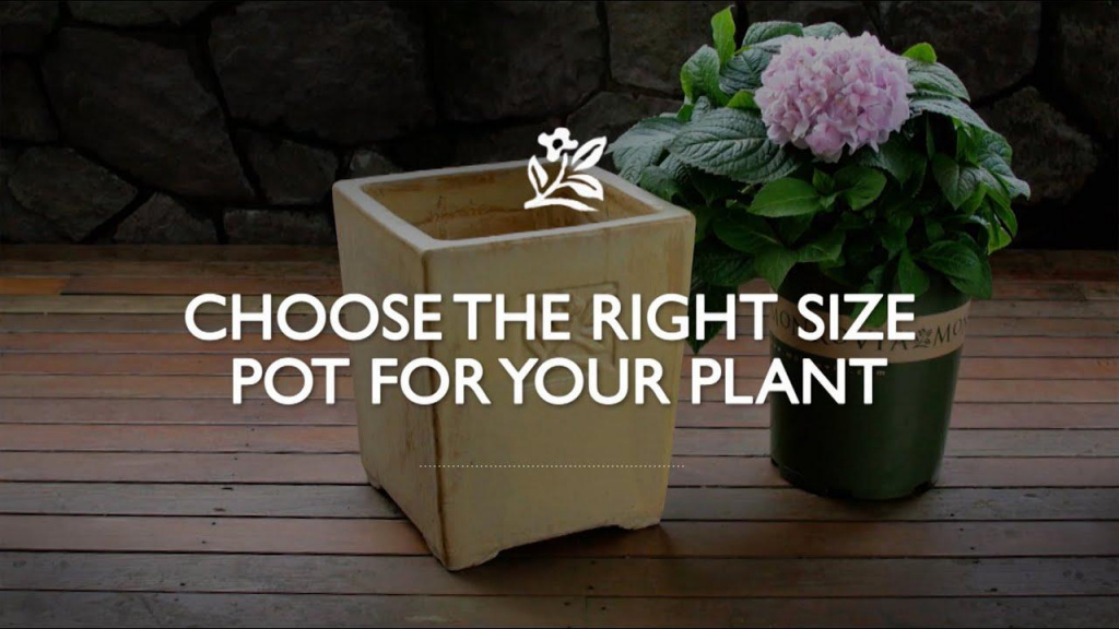 Yellow pot next to a purple flower in a Monrovia container with text that reads, "Choose the Right Size Pot for your Plant."