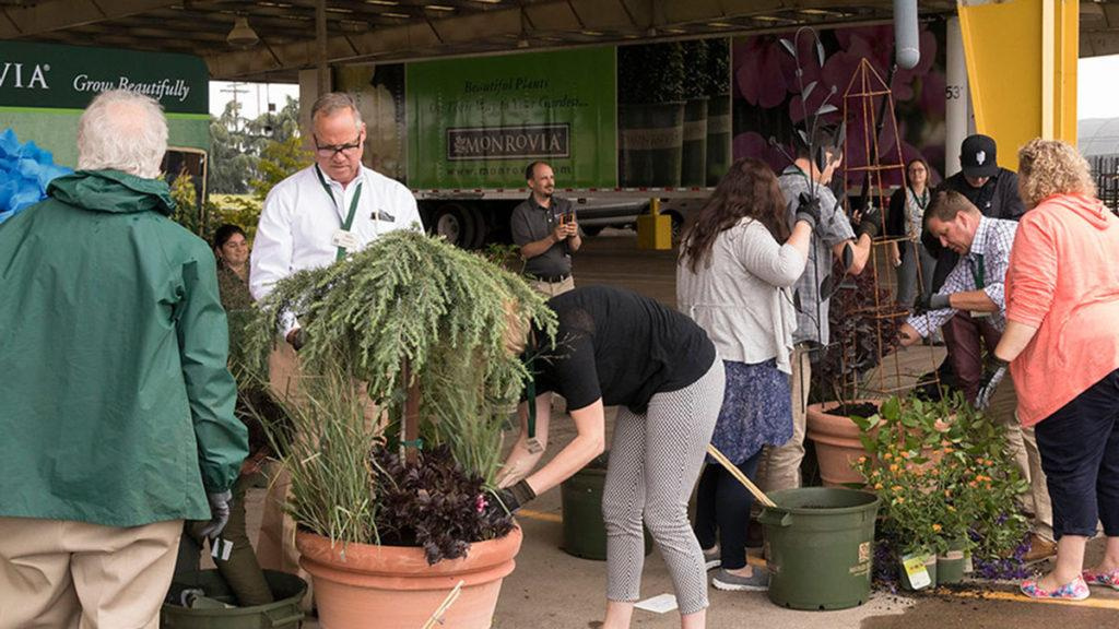 Teams of bloggers shown creating their most beautiful potted plants with Monrovia.