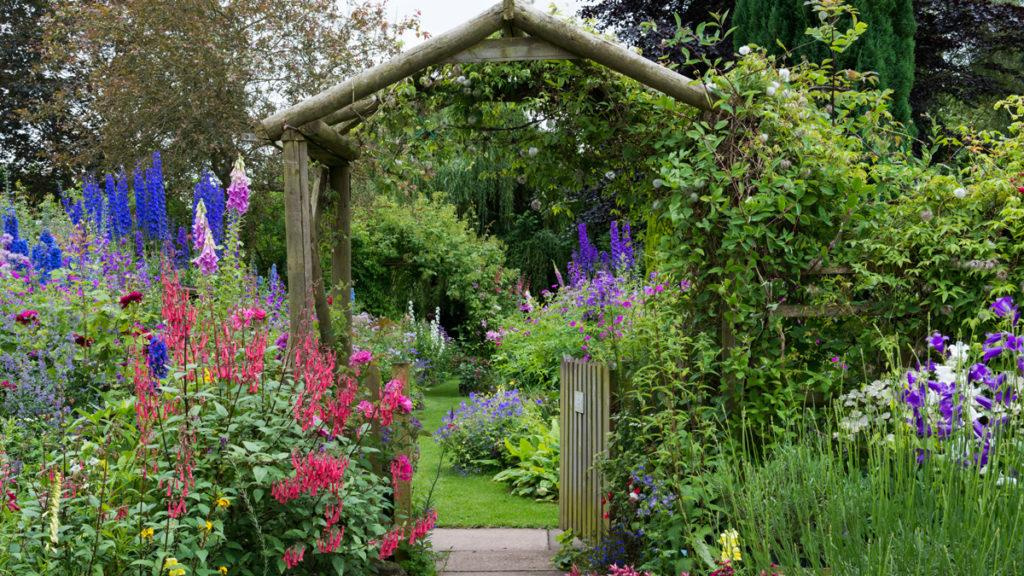 Cottage garden filled with fuchsia, catmint, campanula, delphiniums, foxgloves, hardy geranium, herbs, and lavender.