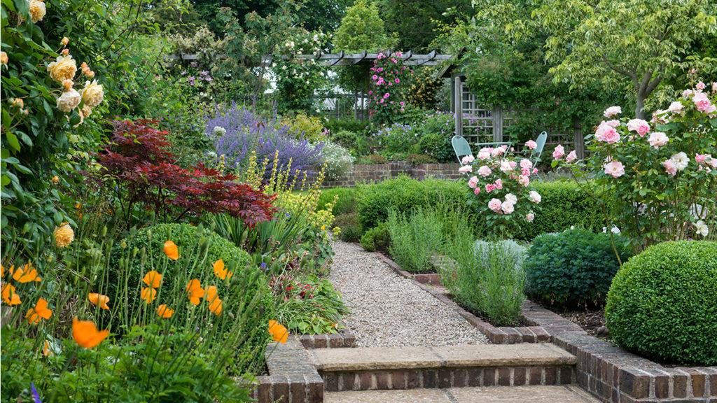 Cottage garden filled with roses, catmint, California poppy, boxwood, lady’s mantle, hardy geranium, grass and lavender.