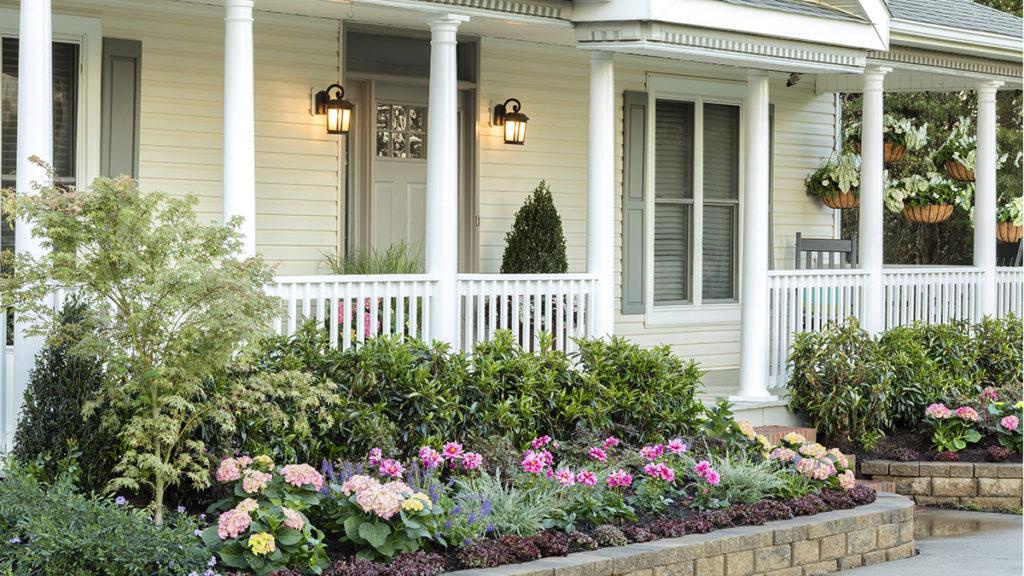 Front of white home with layered bed of plants including viburnum shrubs, fringe flowers, conifers, and a Japanese Maple.