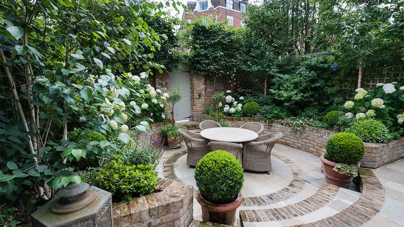 Tiny courtyard filled in white hydrangeas and small potted boxwoods.