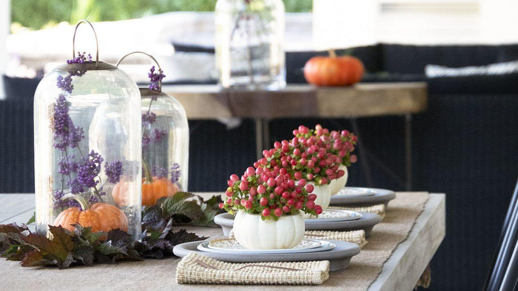 Table place setting with miniature pumpkins. Details of each piece outlined in the blog post.