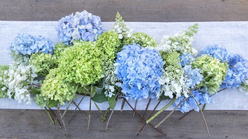 The Garden in a Vase: August Flowers and Foliage