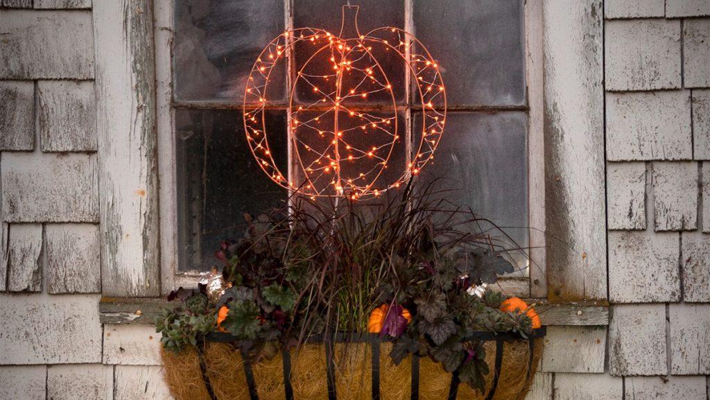 Plant a Halloween Window box (in 30 minutes flat)!