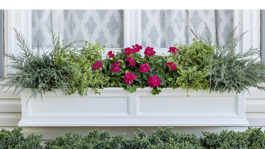 One Windowbox, Three Colorful Combos to Try